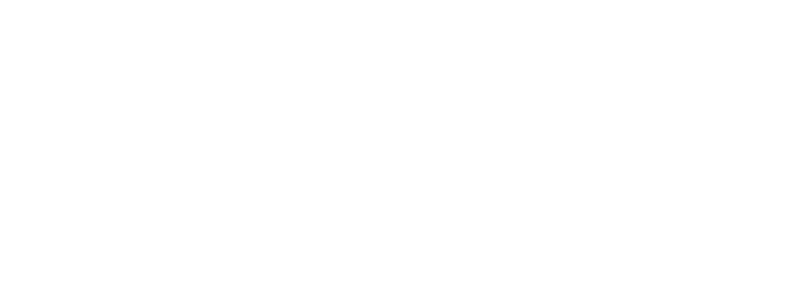 AX20